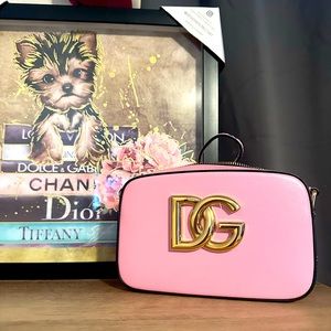 Dolce & Gabbana pink Crossbody Bag